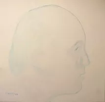 Haim Shiff artwork