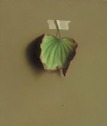 Bauhinia Leaf 2 artwork