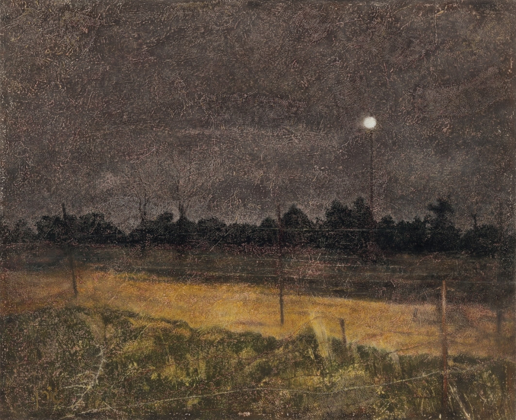 Landscape with fence 5