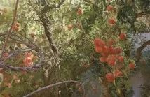 Tree of life artwork