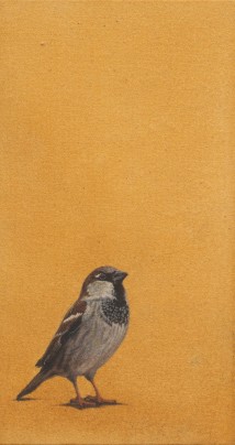 Sparrow artwork