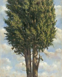Cypress with a bird artwork