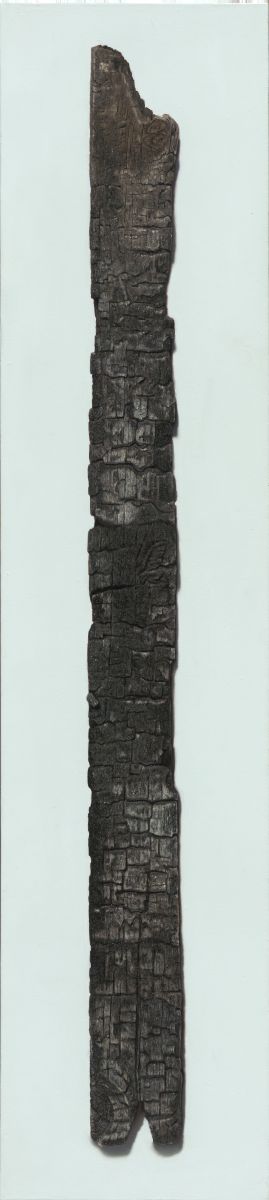 קישור לכתבה