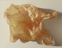 Plastic Bag artwork