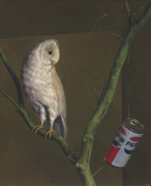 Owl and Pepsi artwork