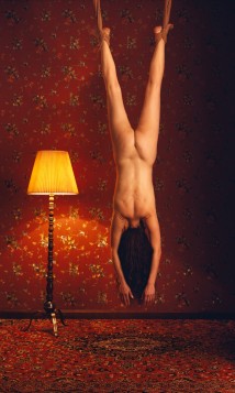 Self Portrait- Suspended W... artwork