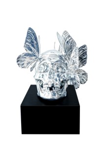 Skull artwork
