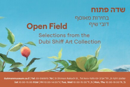 קישור לכתבה